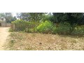 two-acre-land-lyantonde-small-0