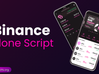 binance-clone-script-bidbits