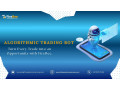 start-your-success-with-firebees-algorithmic-trading-bot-usa-small-0