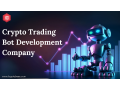 crypto-trading-bot-development-with-api-integration-small-0