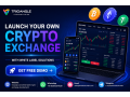 launch-your-own-crypto-exchange-with-white-label-solutions-small-0