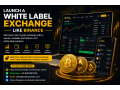 launch-a-white-label-crypto-exchange-like-binance-small-0