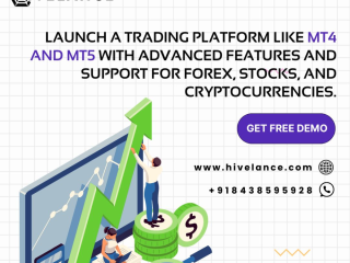 mt5-clone-script-create-a-pro-level-trading-platform-with-hivelance