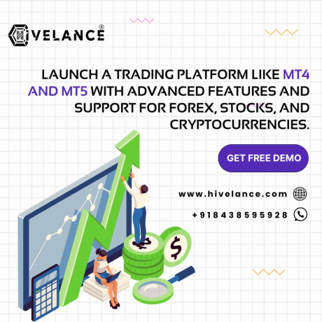 mt5-clone-script-create-a-pro-level-trading-platform-with-hivelance-big-0