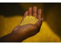 original-gold-for-sale-in-angola-ugandasouth-africacongo-small-0
