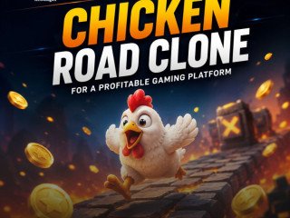 chicken-road-clone-software-key-features-benefits-buying-guide